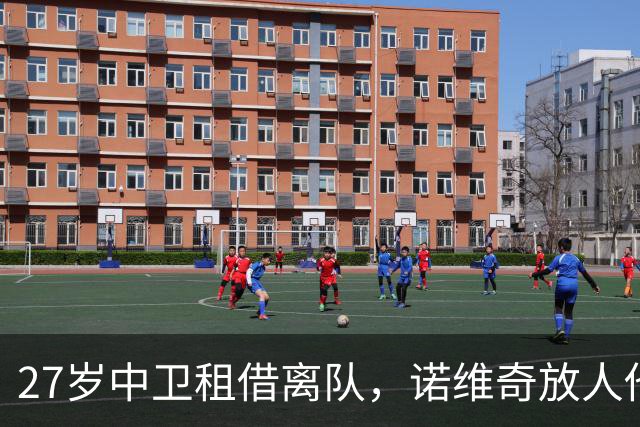 27岁中卫租借离队，诺维奇放人他去荷甲找主力